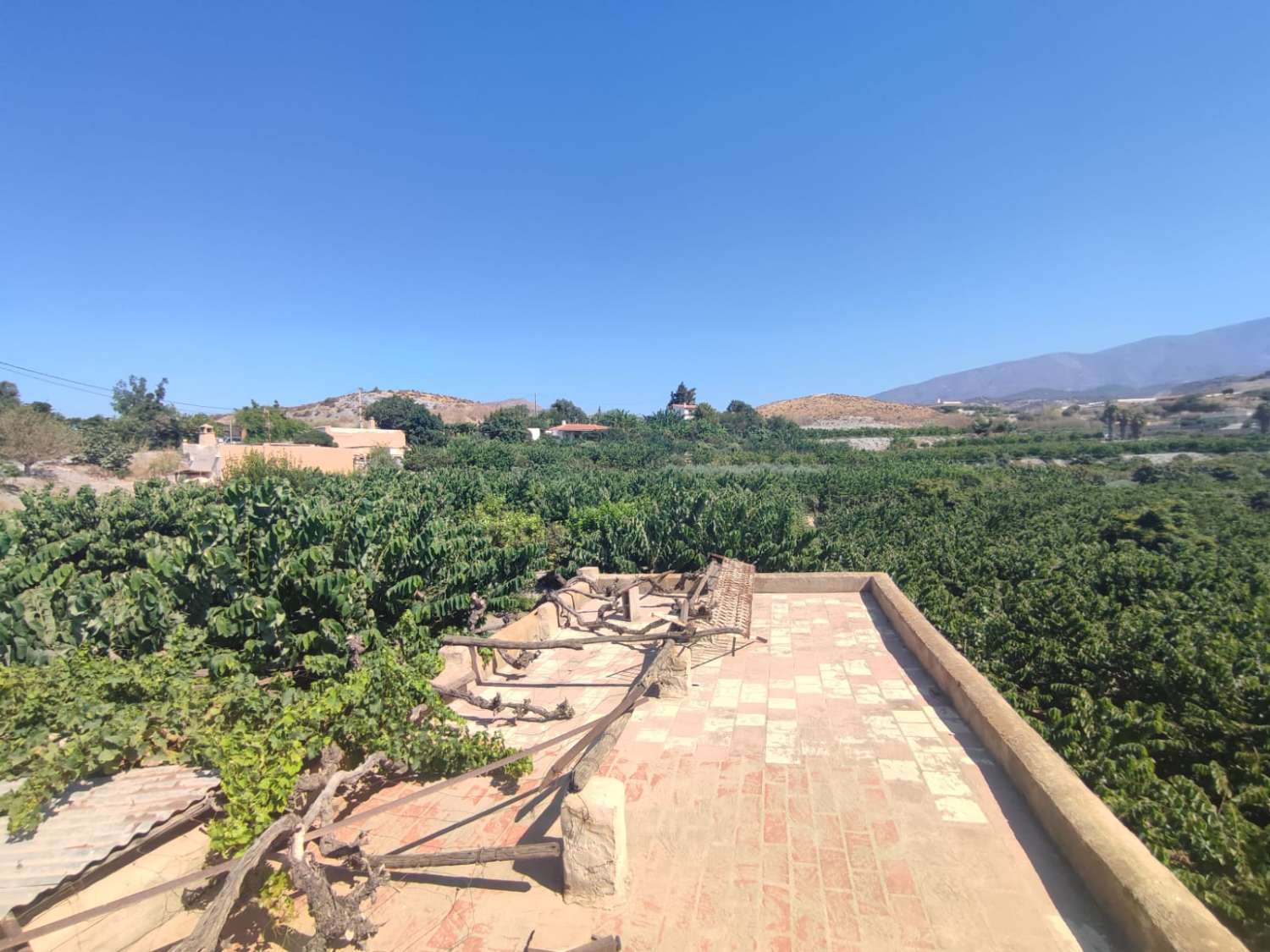 7 marshes of land for sale with farmhouse and corral