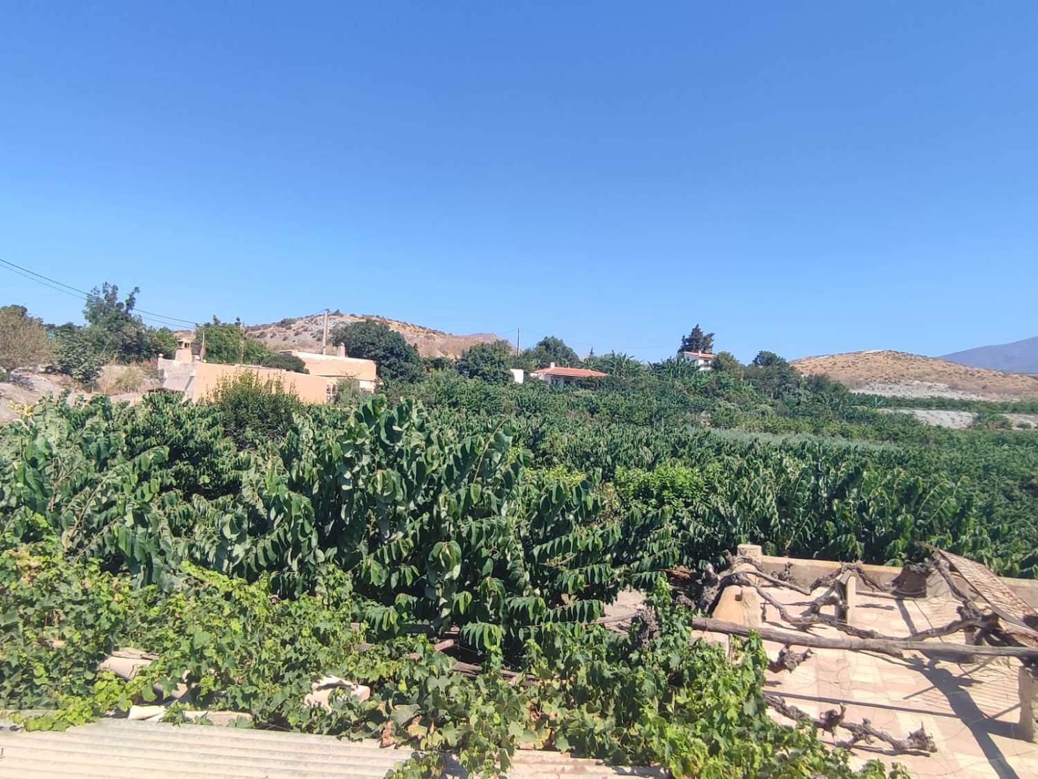 7 marshes of land for sale with farmhouse and corral