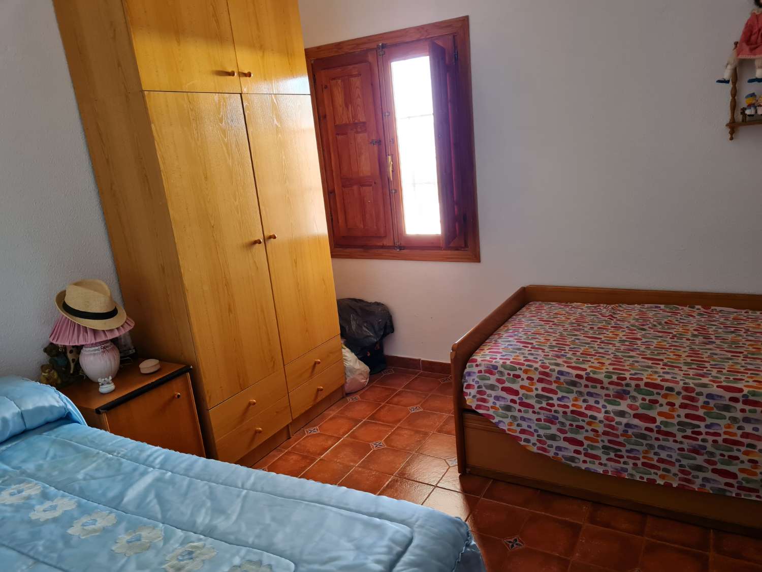 Farm with 1 Ha. (20 marshes) of land in production in Motril