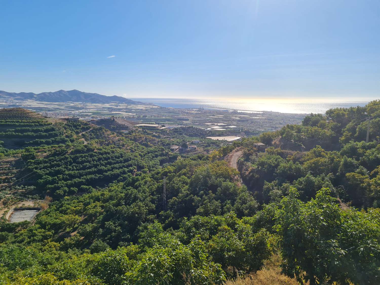 Farm with 1 Ha. (20 marshes) of land in production in Motril