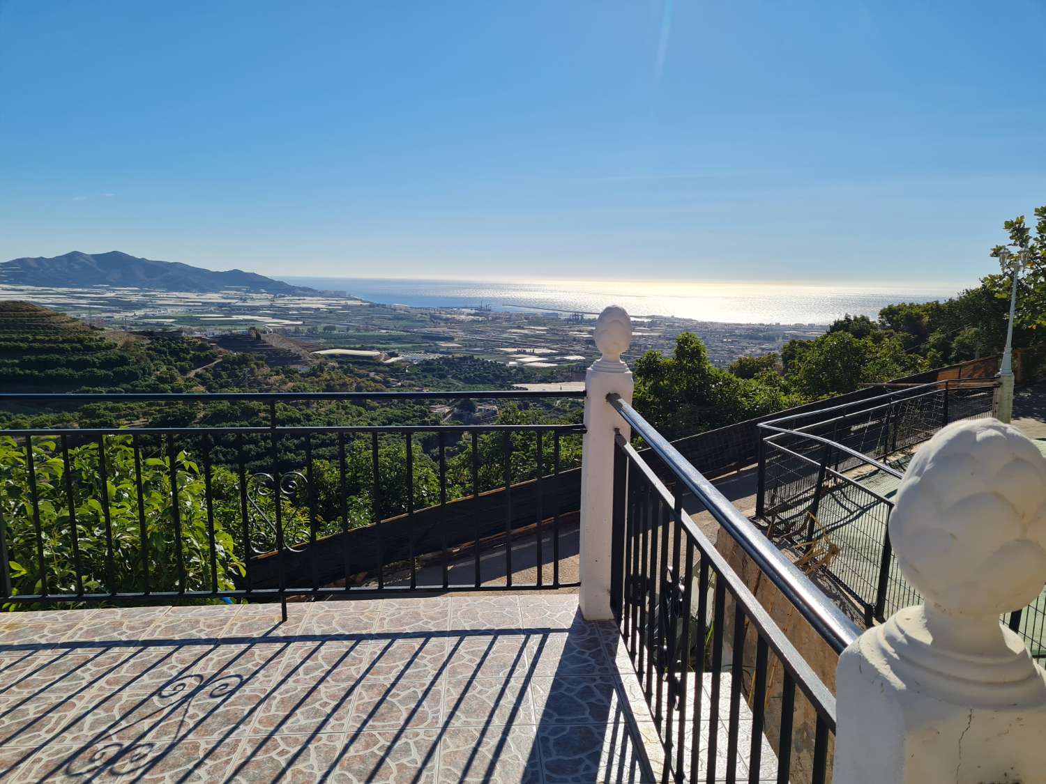 Farm with 1 Ha. (20 marshes) of land in production in Motril