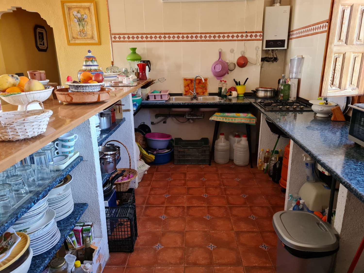 Farm with 1 Ha. (20 marshes) of land in production in Motril