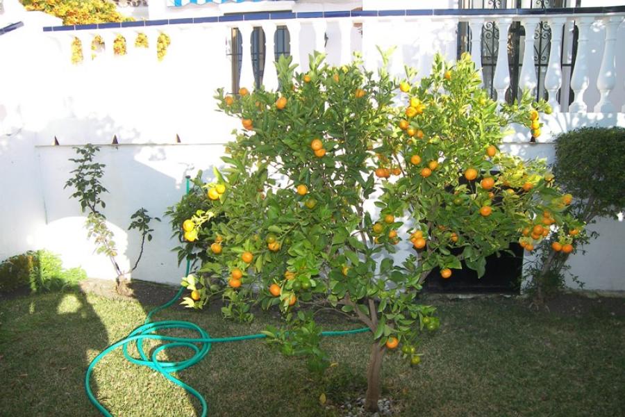 Gemütliches Ferienhaus mit Aussicht für einen unvergesslichen Urlaub in San Juan de Capistrano