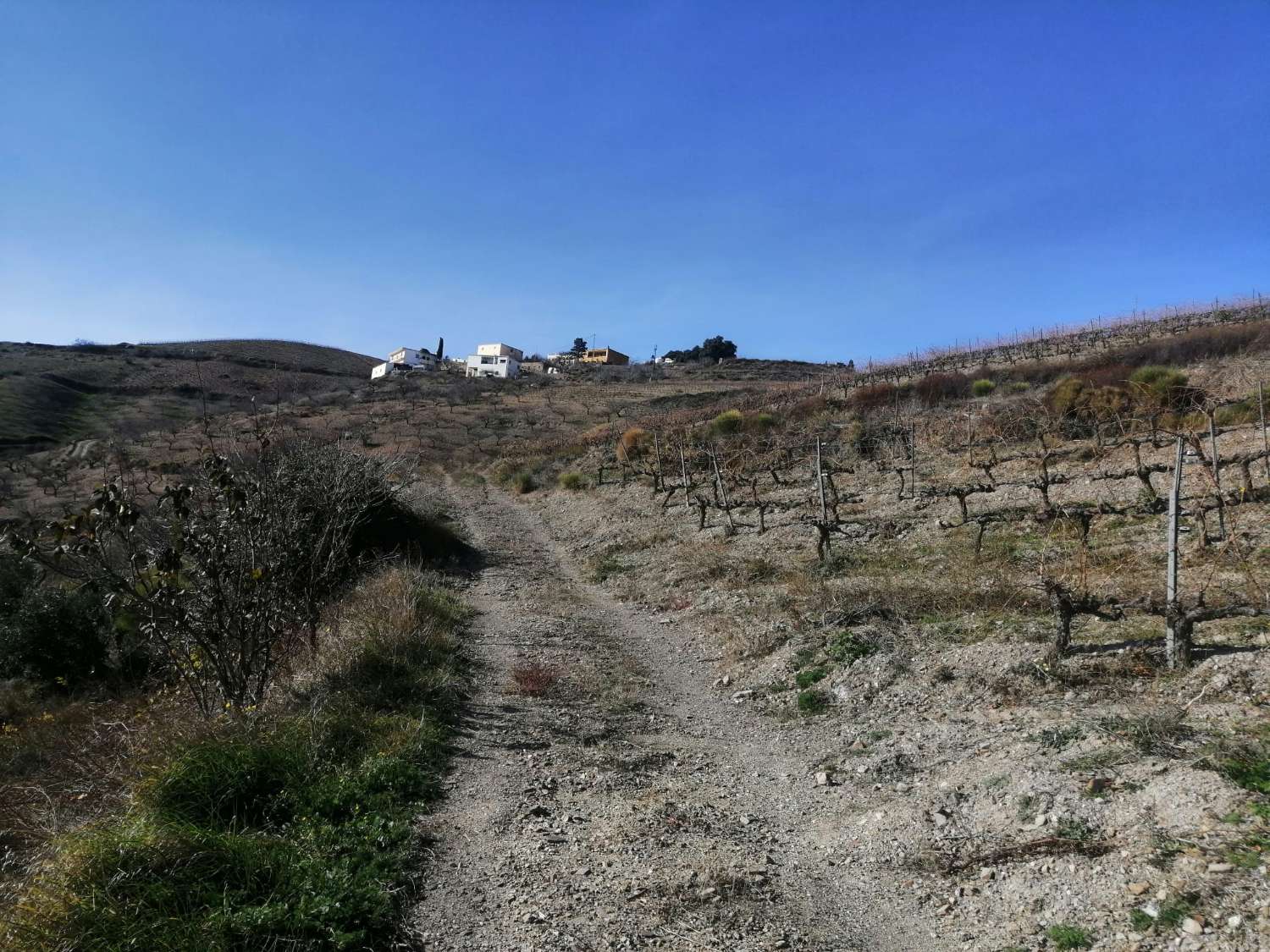 Bauernhaus zum Verkauf mit 15.000 m² Grundstück in Torvizcón