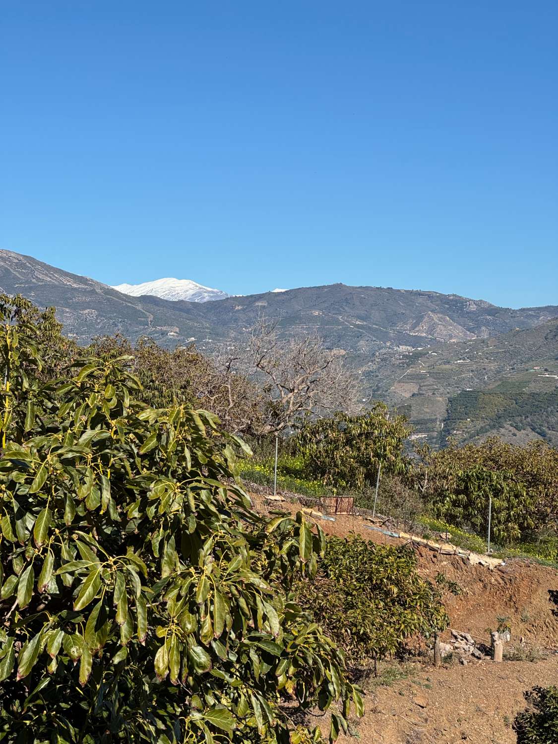 Cortijo con vistas impresionantes